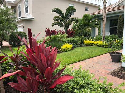 Front Yard Curb Appeal Tropical Landscape Orlando By