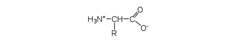 141 Properties Of Amino Acids Chemistry Libretexts