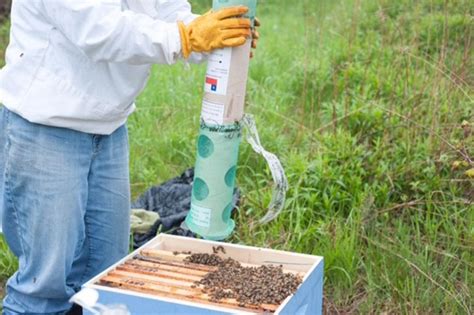 Ag Busy Bee Honey Factory Ag Inspired Cuisine