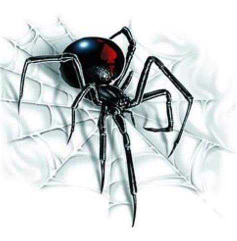 The Best Black Widow Spider Sketch Ideas Octopussgardencafe