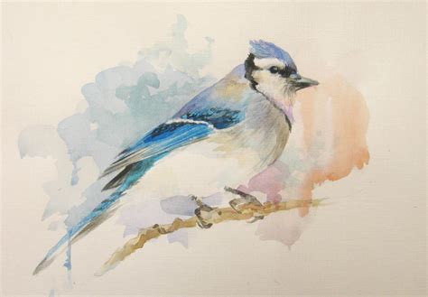 Watercolor Bird By Zakievakristina On Deviantart
