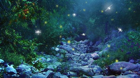 Midsummer Nights Dream Forest 的圖片搜尋結果 Scenery Wallpaper Dragonfly