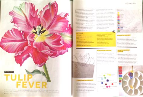 Article In Artists And Illustrators Magazine Parrot Tulip Masterclass