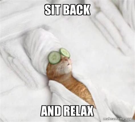Sit Back And Relax Pampered Cat Meme Meme Generator