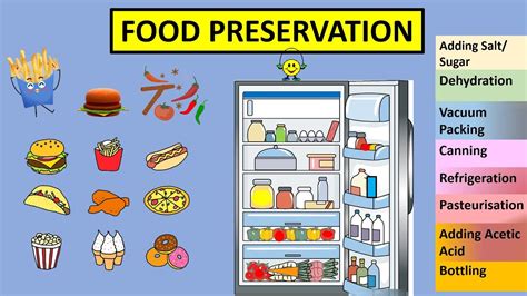 Cbse Class 5 Science Food Preservation Youtube