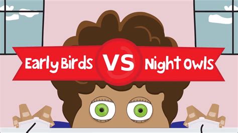 Early Birds Vs Night Owls Youtube