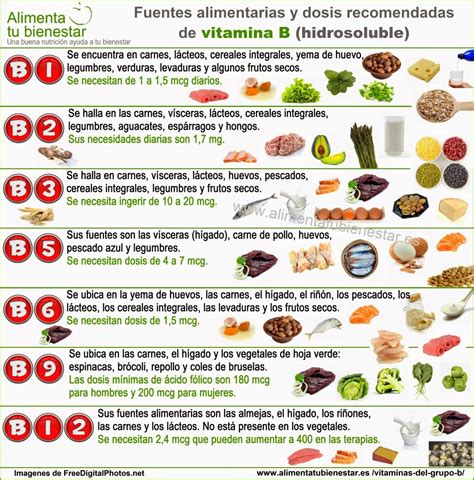 La vitamina b4 es particularmente esencial para la capacitación de adn y arn, siendo una de las 2 bases precisas para la capacitación de estos ácidos nucleicos. 10 BELLESALUD: VITAMINAS PARA LA MENOPAUSIA.