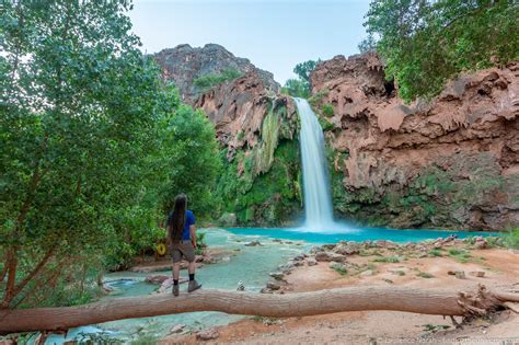 Guide To The Havasu Falls Hike In 2021 Map And Tips
