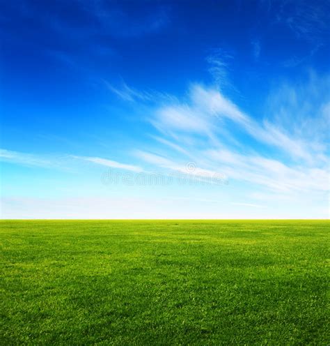 Green Grass Field And Bright Blue Sky Stock Photo Image Of Idyllic