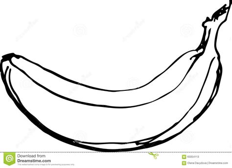 Banana Sketch Images At Explore Collection Of