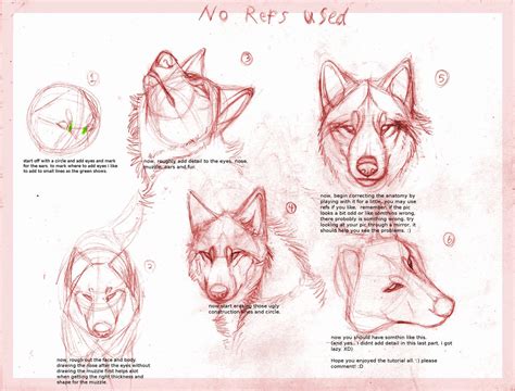 Wolf Drawing Tutorial By B Theawsomegeek On Deviantart