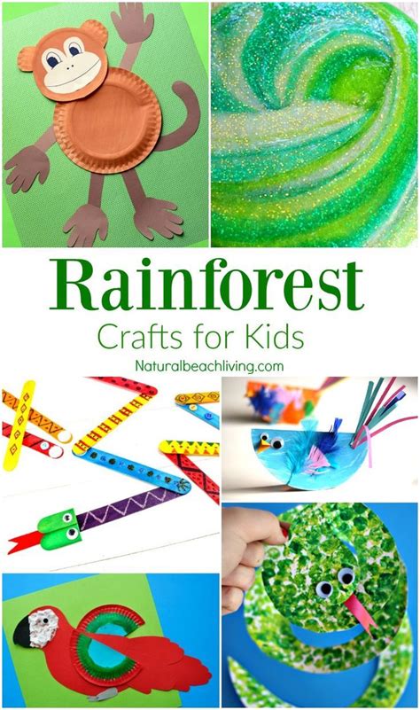 Today's deals your amazon.com gift cards. Amazon Rainforest: a collection of Science and nature ...