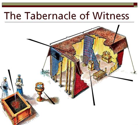 Inside The Tabernacle Tabernacle Of Moses Tabernacle Bible History