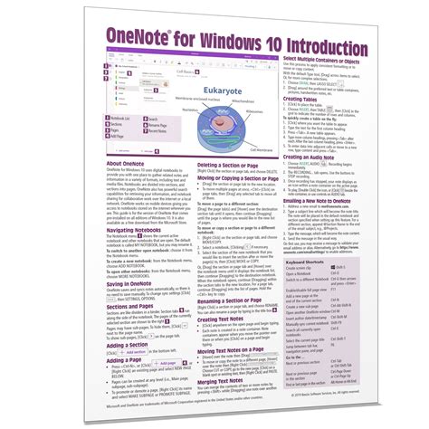 Onenote For Windows 10 Quick Reference Cheat Sheet Guide Beezix
