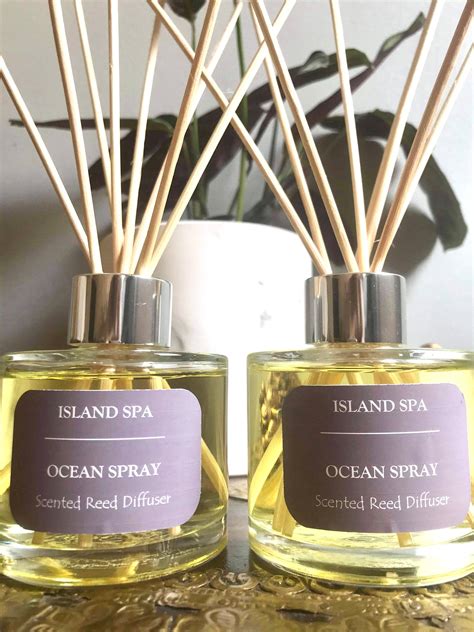 Luxury Highly Scented Reed Diffuser 100ml Reed Diffuser Etsy