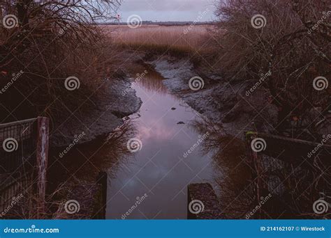 River Flowing Through A Grassy Landscape On A Gloomy Day Stock Image