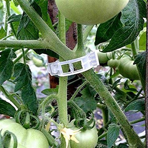 100pcs Vegetable Binder Twine Plant Support Type Tomato Clips Trellis