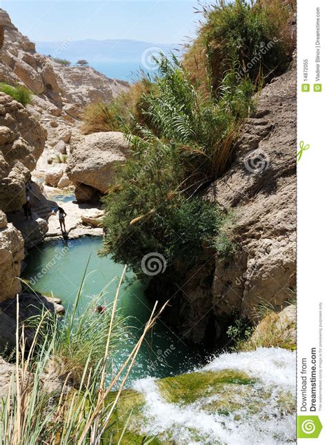 Business credit card applications that only require the ein, and not a ssn along with it, won't have the information necessary to impose a personal liability onto cardholders. Ein Gedi Nature Reserve (Israel) Royalty Free Stock Photo - Image: 14872055