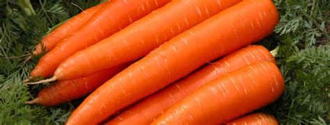 Can Carrots Make You See Better Dr Brighu Swamy Ophthalmic Surgeon