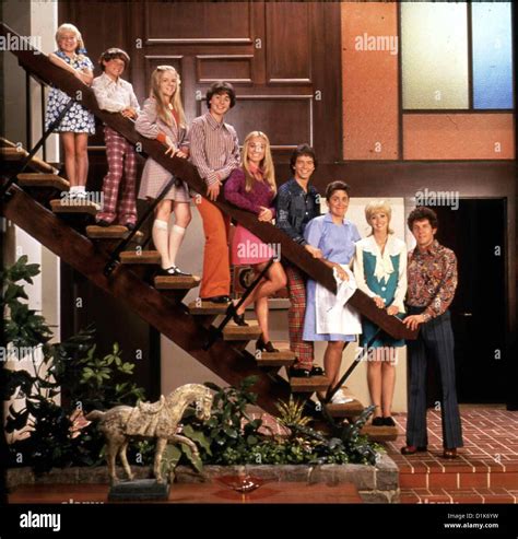 The Brady Bunch 50th Anniversary Tv Movie Collection Dvd Box Set