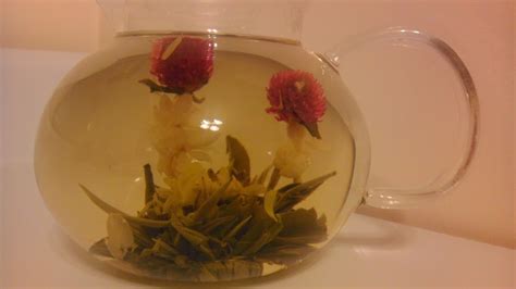 How To Brew And Enjoy Blooming Or Flowering Tea Delishably