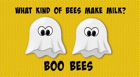 Maybe you would like to learn more about one of these? The Bees' Knees: Idioms, Jokes, and Other Funny Things ...
