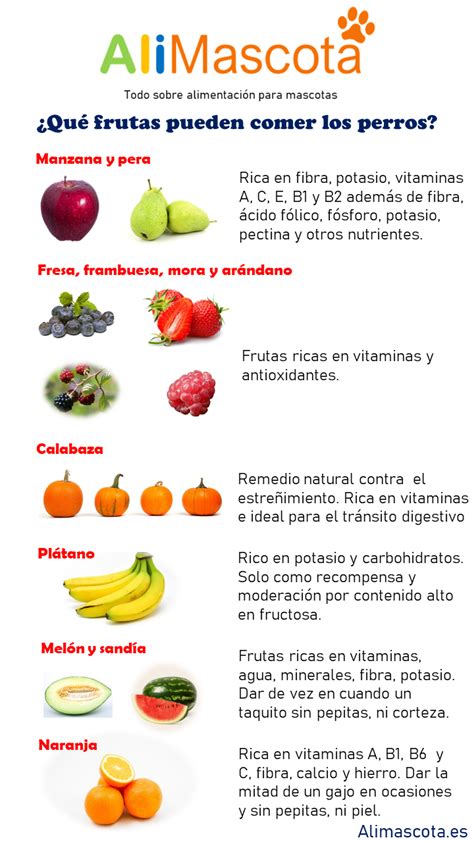 ¿qué Frutas Pueden Comer Los Perros Alimascotaes