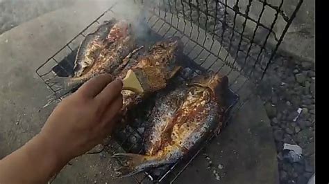 Semoga artikel ini bisa membantu untuk membuat bakso di lemari es anda 1. BAKAR IKAN PATIN sekaligus Memberi BUMBU - YouTube