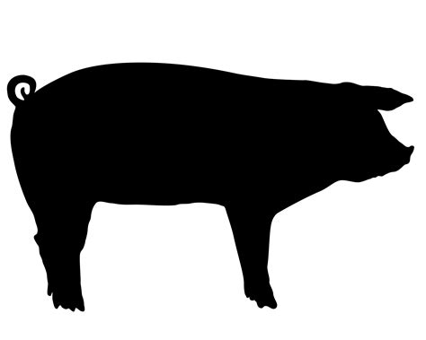 show pig silhouette clip art | Pig silhouette, Farm animal silhouette, Show pig silhouette