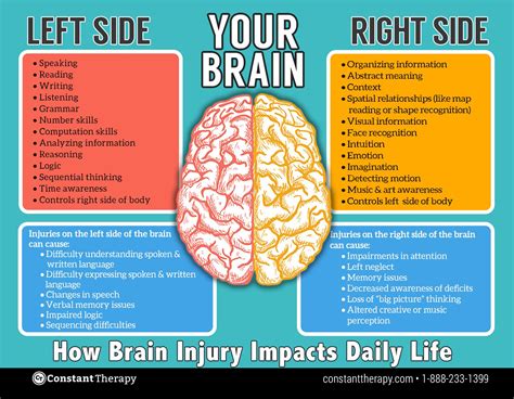 Left Side Vs Right Side Of Brain Brain Injury Or Stroke Left Brain