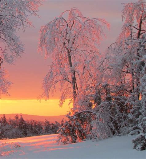 Best 25 Winter Sunset Ideas On Pinterest Pink Snow