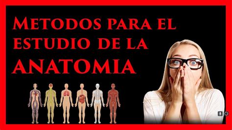 💀 Anatomía 📖 Métodos Para El Estudio De La Anatomía 2020 Youtube