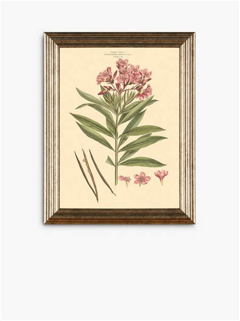 Botanical Florals Framed Prints Set Of 3 47 X 37cm Greenmulti At