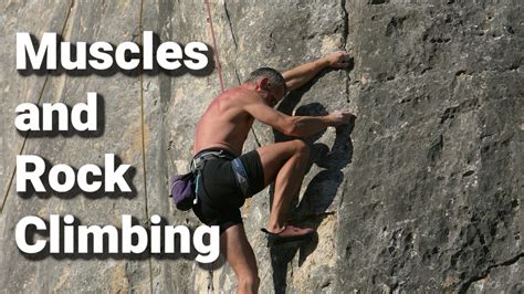 6 Muscles Used In Rock Climbing Build Strength Red Point Climb