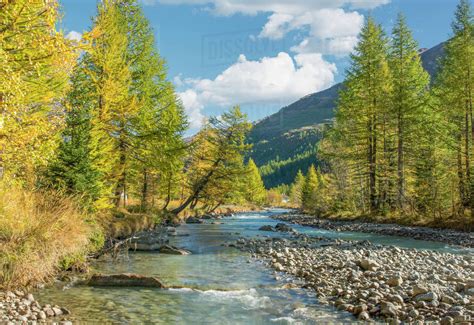 Mountain River And Trees In Autumn Stock Photo Dissolve