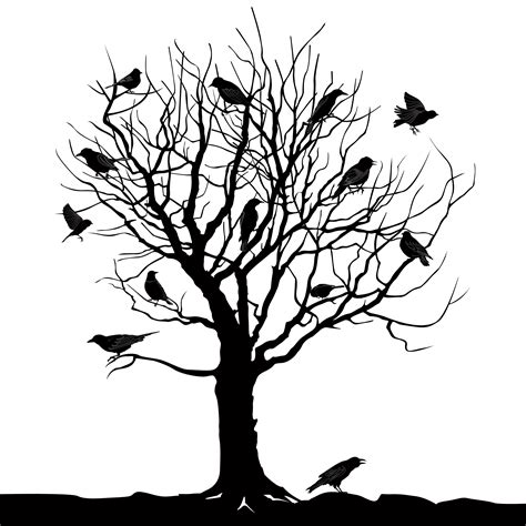 Birds Over Tree Forest Landscape Wild Nature Silhouette 511705 Vector