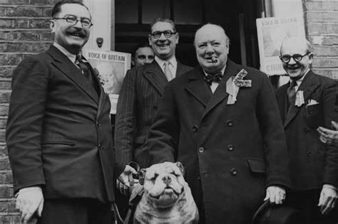 What Is The Significance Of The British Bulldog Historyextra