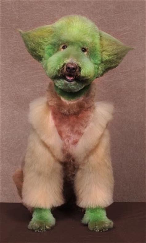Dogs Outlandishly Dyed And Groomed To Look Like Fictional Characters