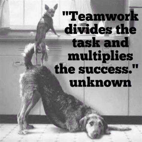 Teamwork requires some sacrifice up front; 115 Great Team Building Quotes | Team Bonding ...