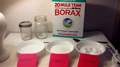 How To Get Rid Of Ants With Borax Boric Acid Fast Killing