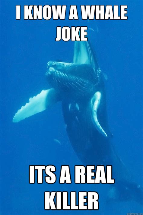 I Know A Whale Joke Its A Real Killer Bad Pun Whale Quickmeme