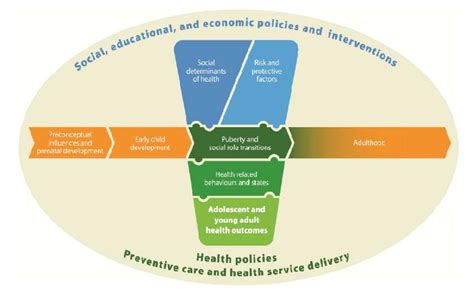 Conceptual Framework For Adolescent Health Download Scientific Diagram