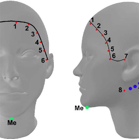 Facial Retaining Ligaments 22 Download Scientific Diagram