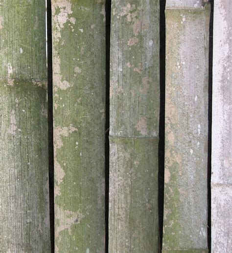 Fence Free Stock Photo Closeup Of A Bamboo Fence 3867