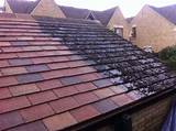 Pictures of Clean Roof Tiles