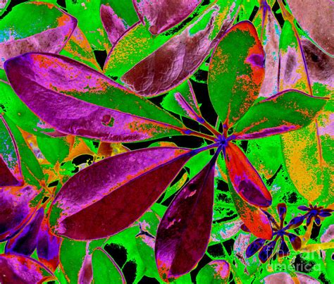 Energy Of Colors Abstract Art Magenta And Green Leaves Photograph By