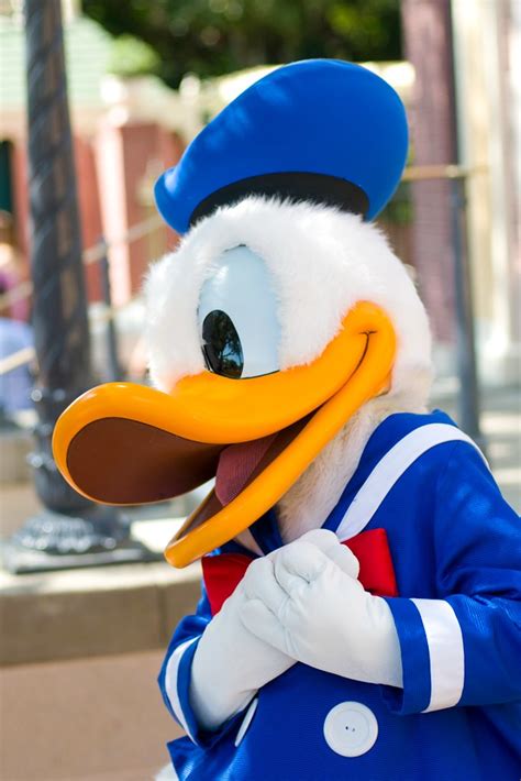Disneyland Donald Duck To See The Complete Disneyland Ph Flickr