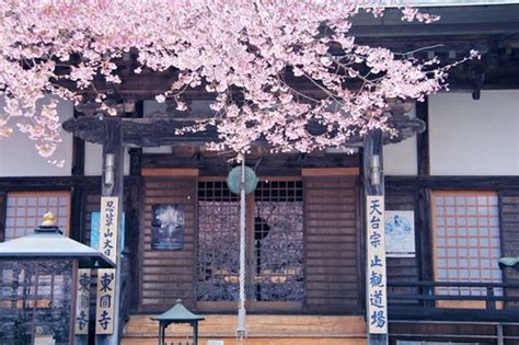 pastel, aesthetic, japan, korean, pale - image #4184112 by ... Posted in wallpaper tagged korean aesthetic pastel wallpaper aesthetic.