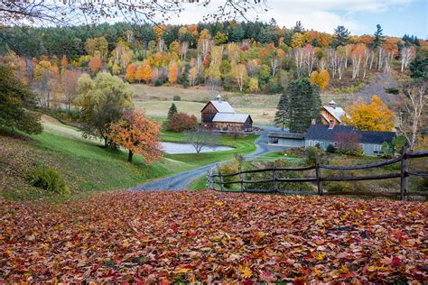 Sleepy Hollow Farm In The Fall Woodstock Vermont
