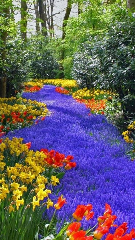 Beautiful Colorful Flowers Relaxing Nature In The Park Wallpaper